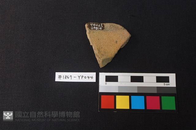陶片藏品圖，第2張