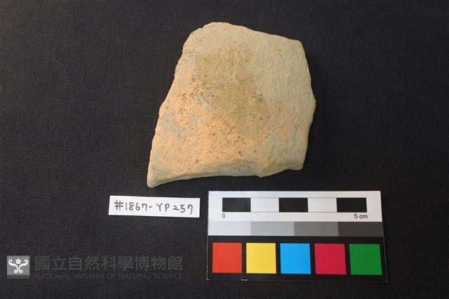 陶片藏品圖，第1張