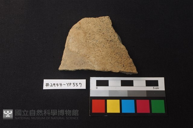 陶片藏品圖，第1張
