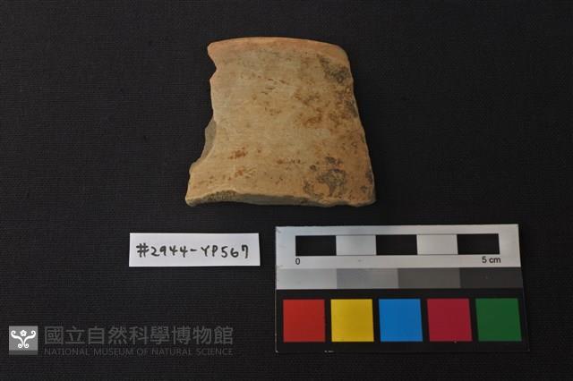 陶片藏品圖，第1張