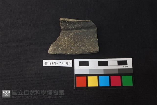 陶片藏品圖，第1張