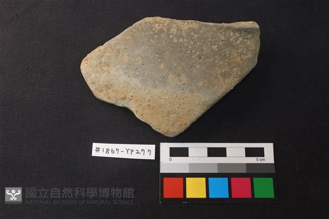 陶片藏品圖，第1張