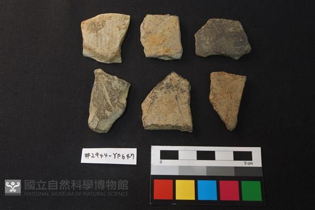 陶碎片藏品圖，第1張