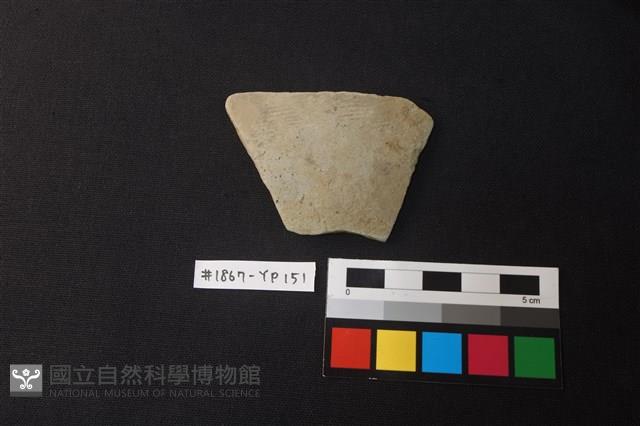 陶片藏品圖，第1張