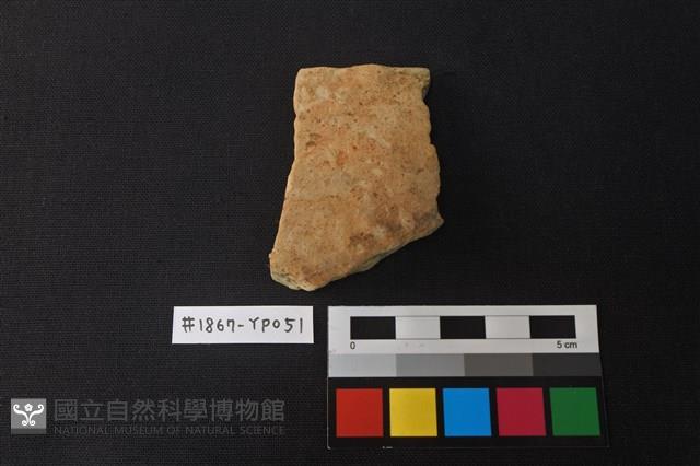 陶片藏品圖，第1張
