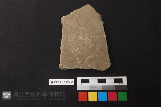 陶片藏品圖，第1張