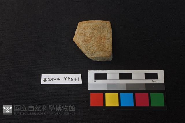 Accession Number:YP631 Collection Image, Figure 1, Total 2 Figures