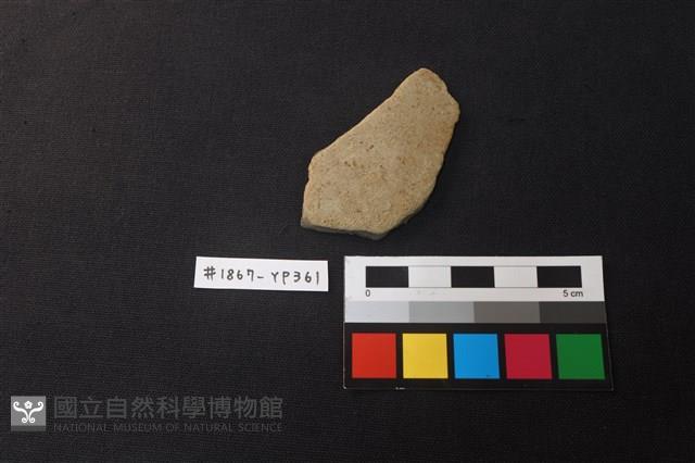 陶片藏品圖，第1張