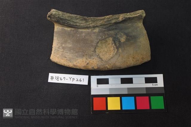 陶片藏品圖，第1張