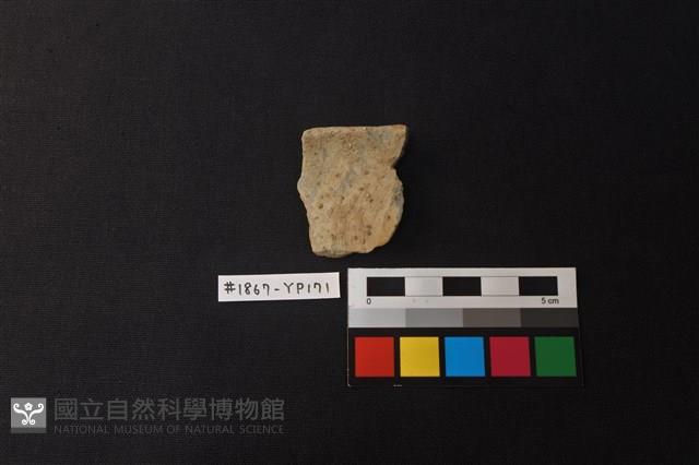 陶片藏品圖，第1張