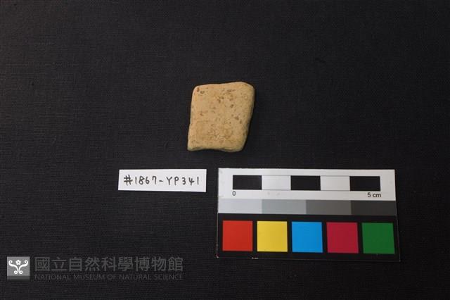 陶片藏品圖，第1張