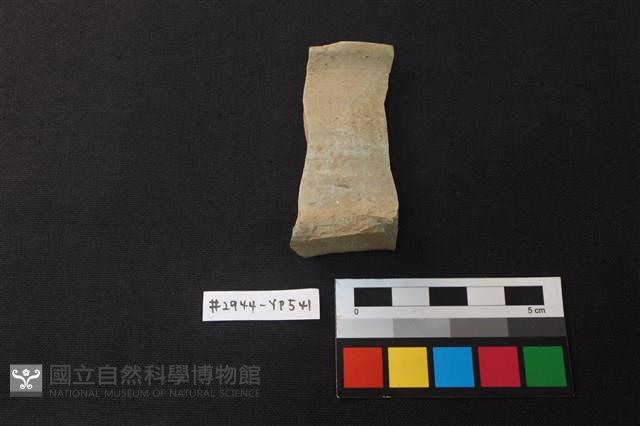 陶片藏品圖，第1張