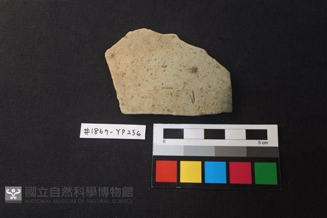 陶片藏品圖，第1張