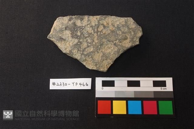 陶片藏品圖，第1張