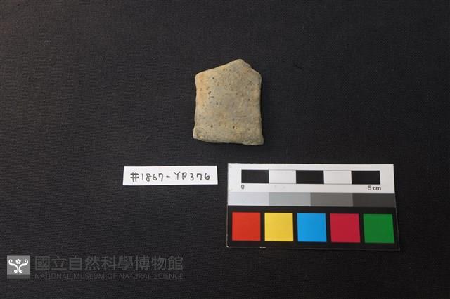 陶片藏品圖，第1張