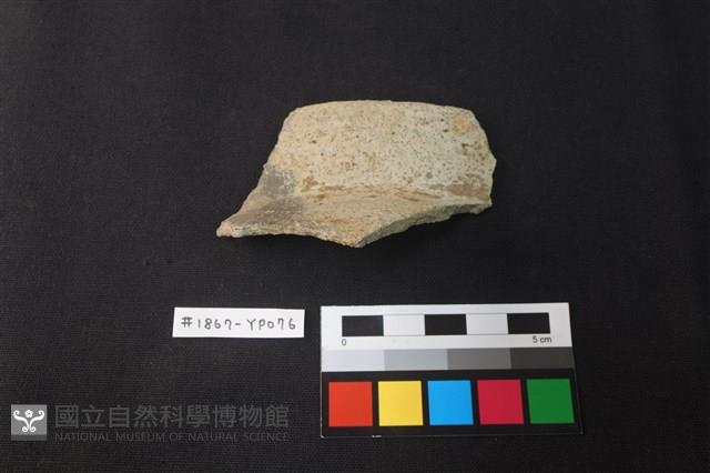 陶片藏品圖，第1張