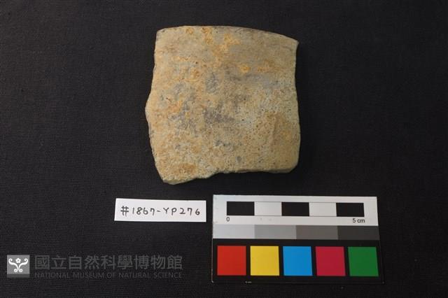 陶片藏品圖，第1張