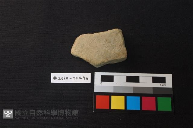 陶片藏品圖，第1張