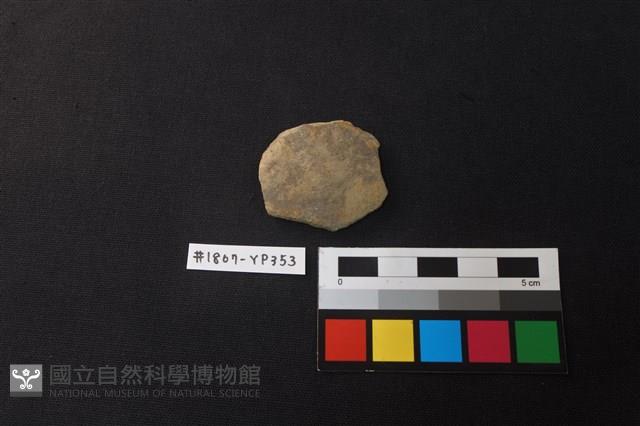 陶片藏品圖，第1張