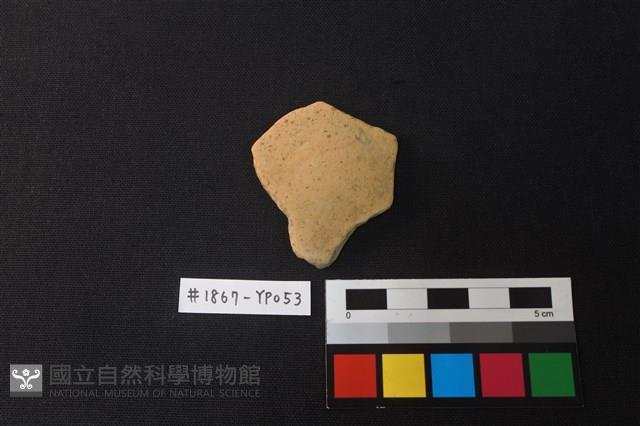 陶片藏品圖，第1張
