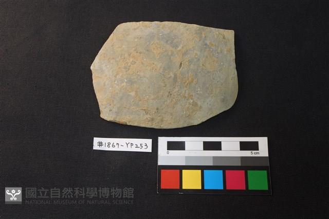 陶片藏品圖，第1張