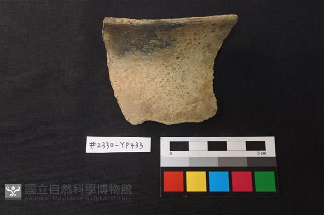 陶片藏品圖，第1張