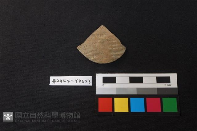 陶片藏品圖，第1張