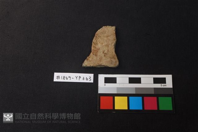 陶片藏品圖，第1張