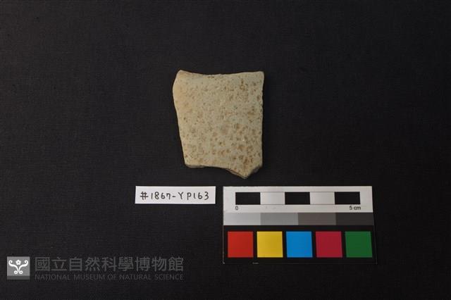 陶片藏品圖，第1張