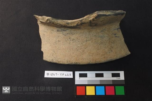陶片藏品圖，第1張