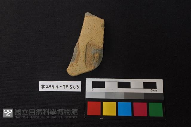 陶片藏品圖，第1張