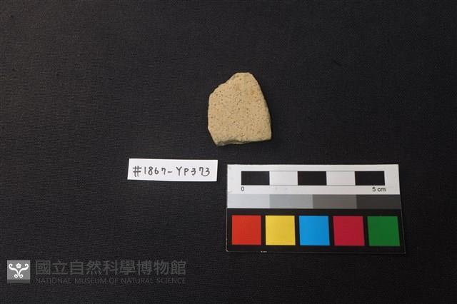 陶片藏品圖，第1張