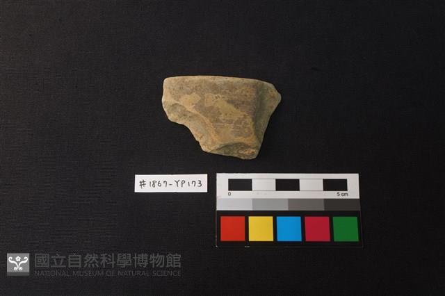 陶片藏品圖，第1張