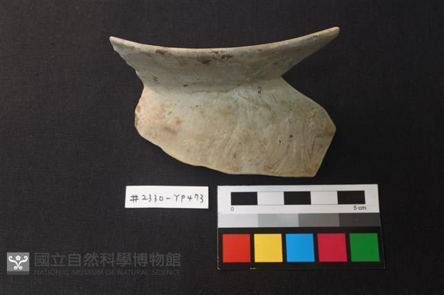 陶片藏品圖，第1張