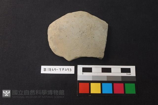 陶片藏品圖，第1張