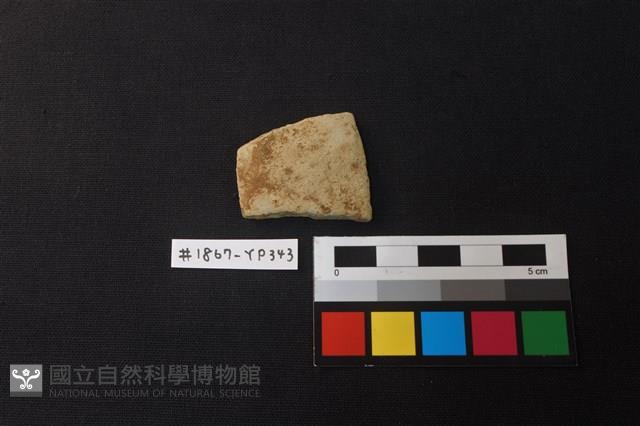 陶片藏品圖，第1張