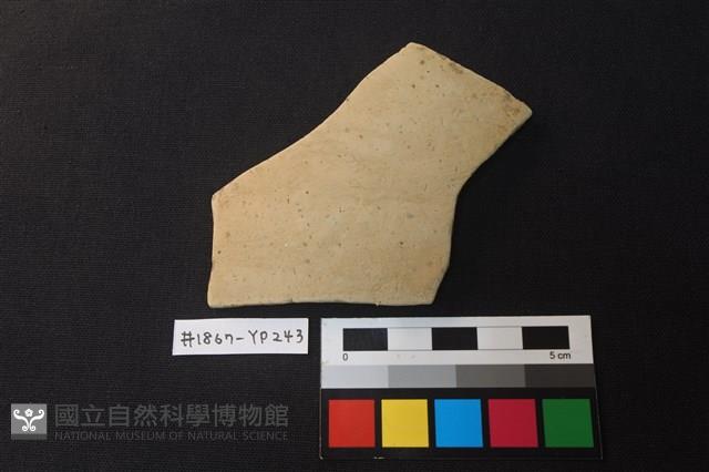 陶片藏品圖，第1張
