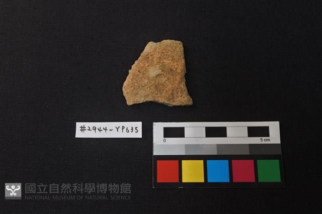 陶片藏品圖，第1張