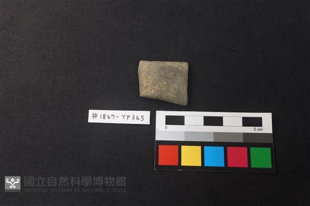陶片藏品圖，第1張