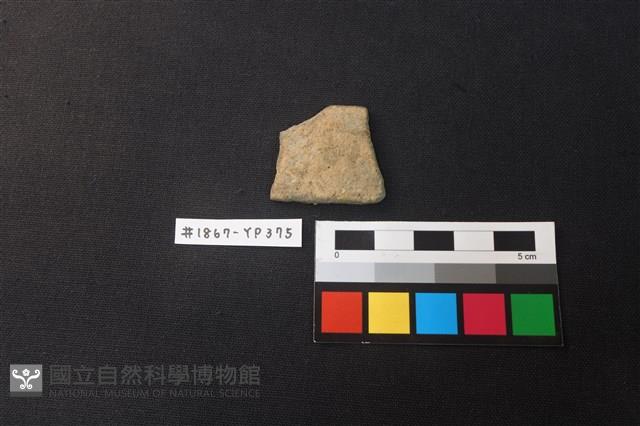 陶片藏品圖，第1張