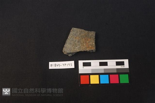陶片藏品圖，第1張
