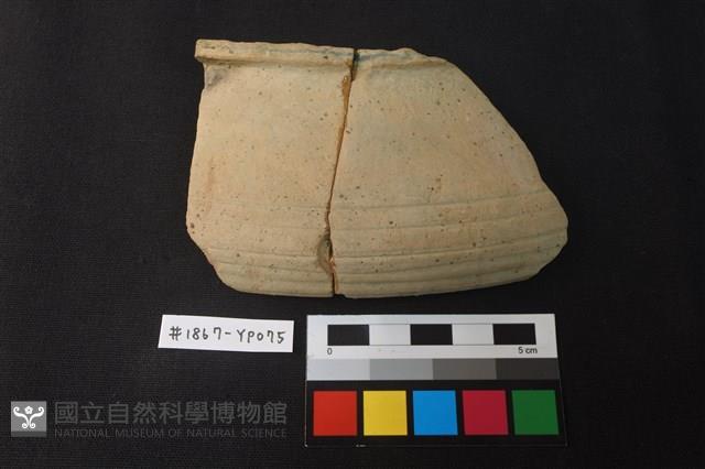 陶片藏品圖，第1張