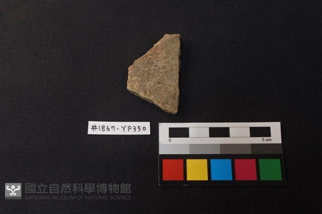 陶片藏品圖，第1張