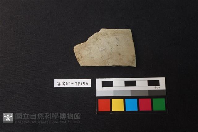 陶片藏品圖，第1張