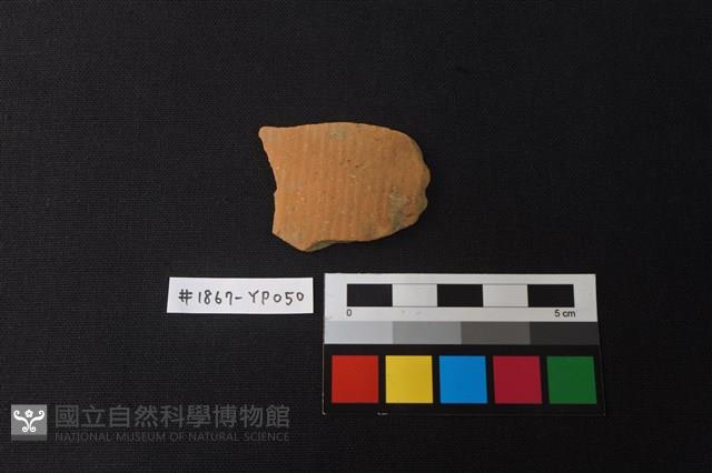陶片藏品圖，第1張