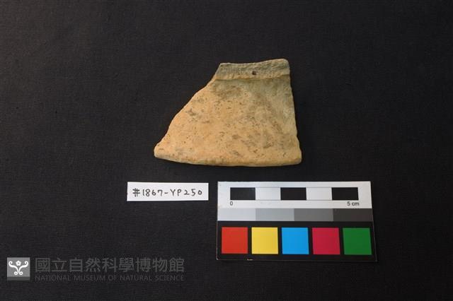 陶片藏品圖，第1張