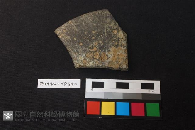 陶片藏品圖，第1張