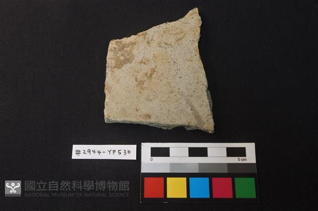 陶片藏品圖，第1張