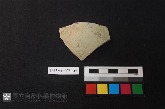 陶片藏品圖，第1張