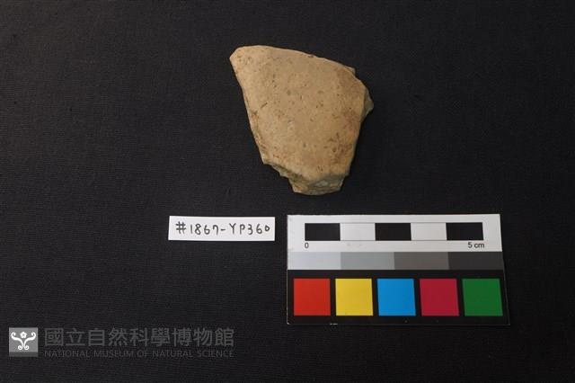 陶片藏品圖，第1張